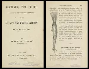 截图结合了亨德森的盈利园艺的老标题页，在左边，在右边，一个页面包含了关于salsify的文本，并附有根类蔬菜的图纸。